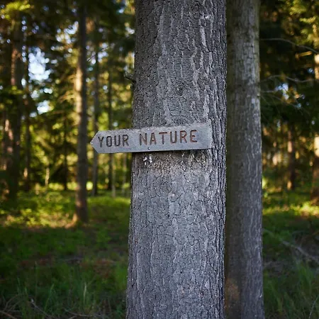 Near Forest & *